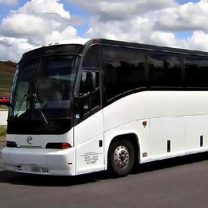 40 Passenger Party Bus Rental